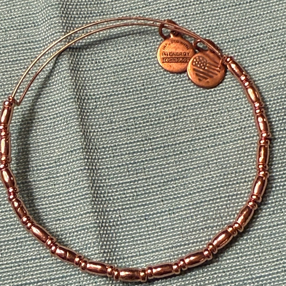 Alex and Ani Reed Bangle Bracelet Shiny Rose
